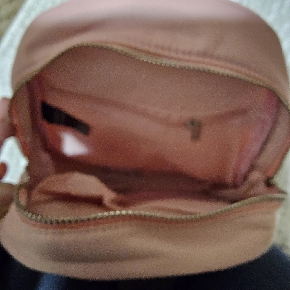 Badgley Mischka Backpack